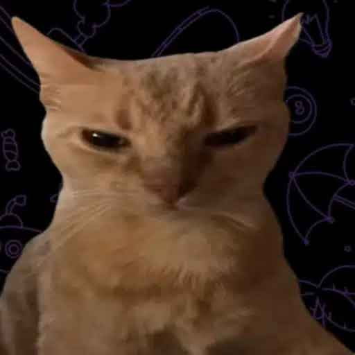 Serious Ginger Cat - The most serious cat in the galaxy